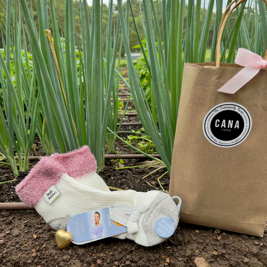 Socks with Chocolate Gift