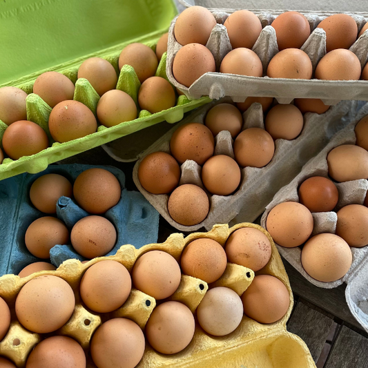 Free-range Eggs