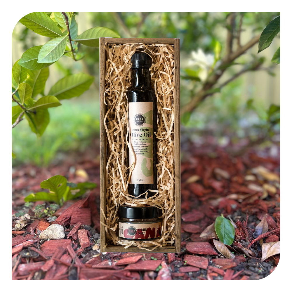 Everyday Pantry Pair