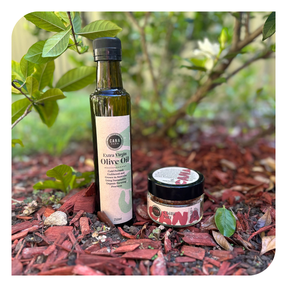 Everyday Pantry Pair