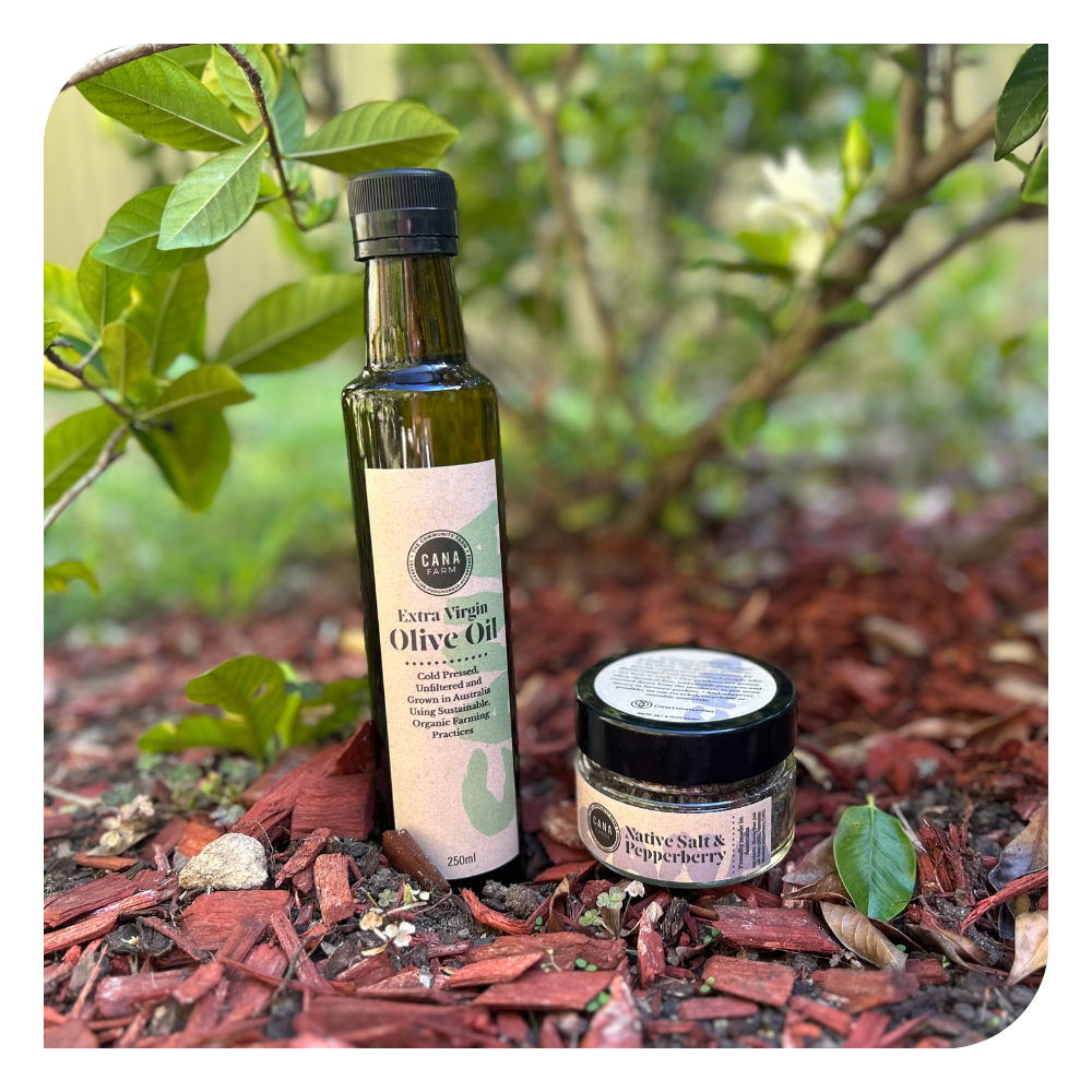 Everyday Pantry Pair