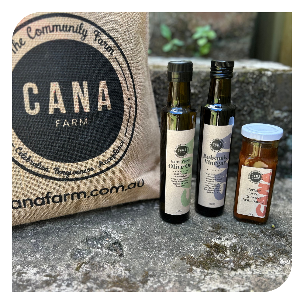 NEW Kitchen Classics Trio: Olive Oil, Balsamic Vinegar & Pasta Sauce