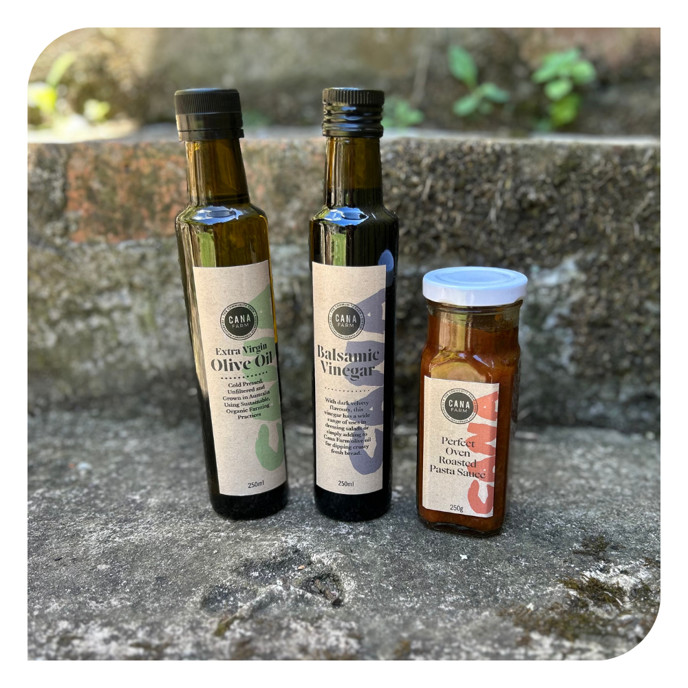 NEW Kitchen Classics Trio: Olive Oil, Balsamic Vinegar & Pasta Sauce