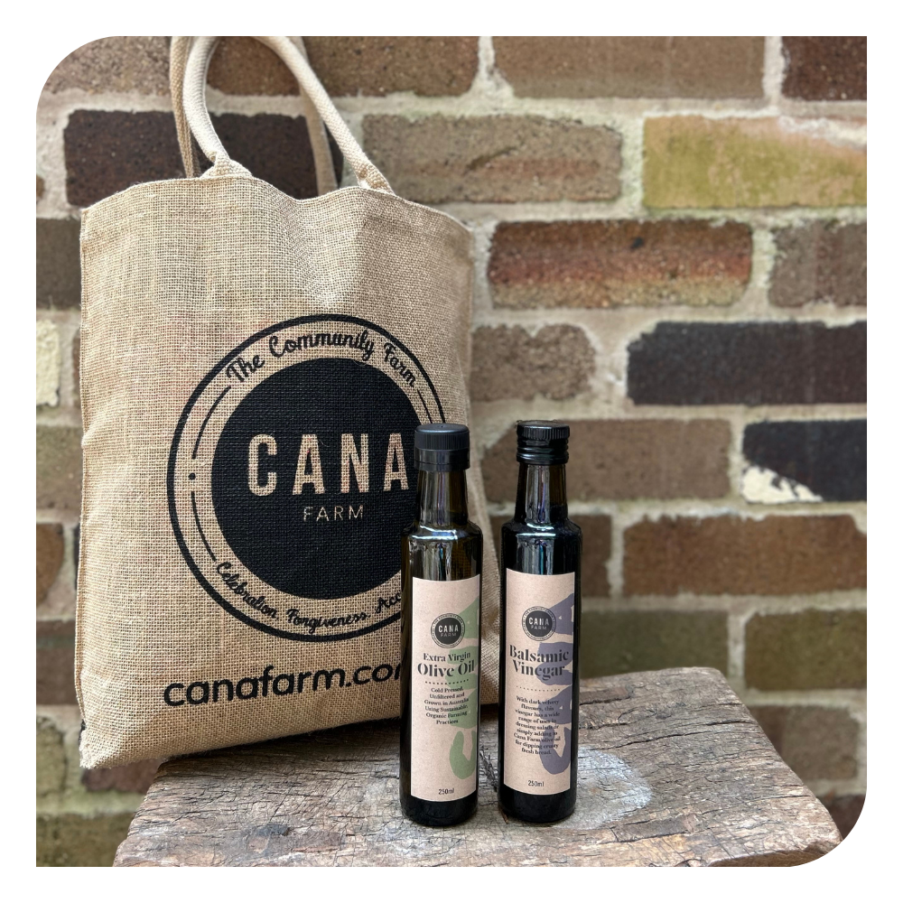 Oil & Vinegar Tasting Pair