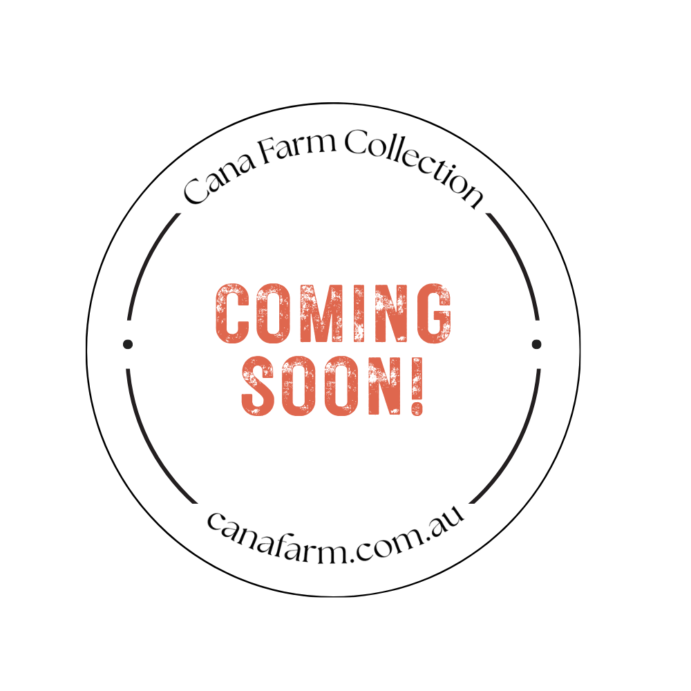 Entertainer's Duo: Oil & Saltbush Dukkah