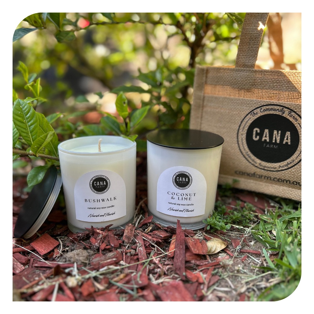 Signature Scent Candle Duo