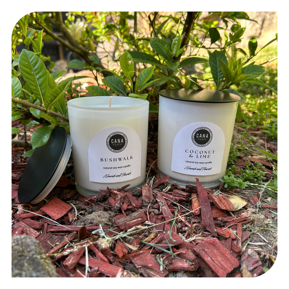 Signature Scent Candle Duo
