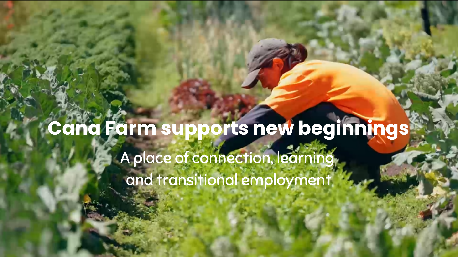 Load video: About Cana Farm